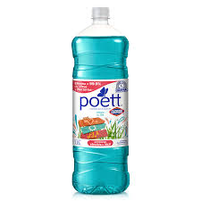 POETT DESINF.  ALEGRA TU DIA X 900ML